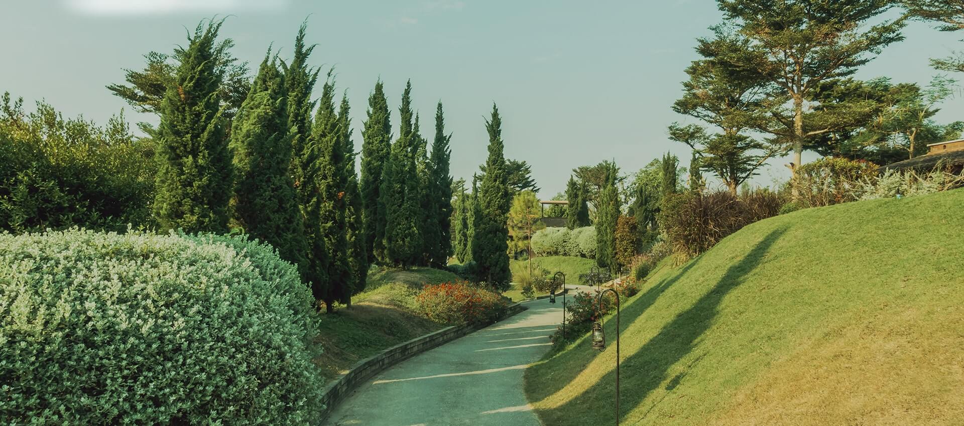 Landscaping and Afforestation Services